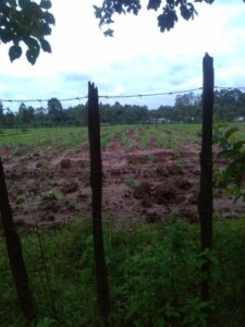 land for sale in lessos kitale