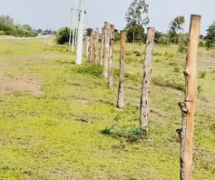 land for sale in Kaloleni