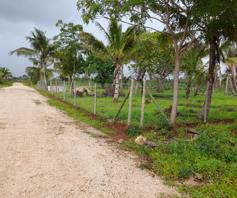 land for sale in Kaloleni