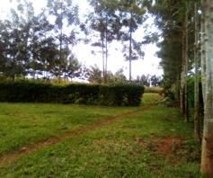 land for sale in Waitaluk Kitale