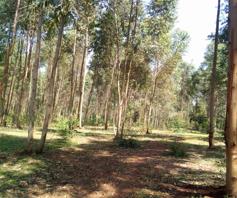 land for sale in Waitaluk Kitale