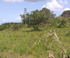 land for sale in kombani kwale