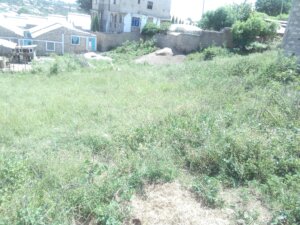 land for sale in mikindani