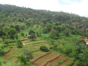 land for sale in kilungu