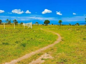 land for sale in malili