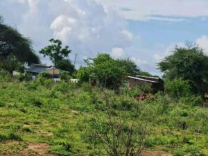 land for sale in kivandini matuu