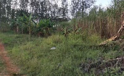 Land for Sale in Butere