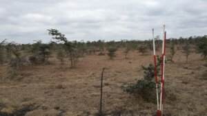 Plots for sale in Tuala Ongata Rongai