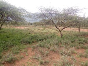 land for sale in mwingi