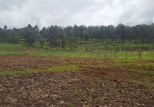 land for sale in kasigau