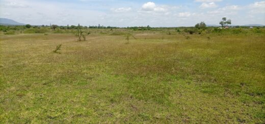 plots for sale in koma kangundo road