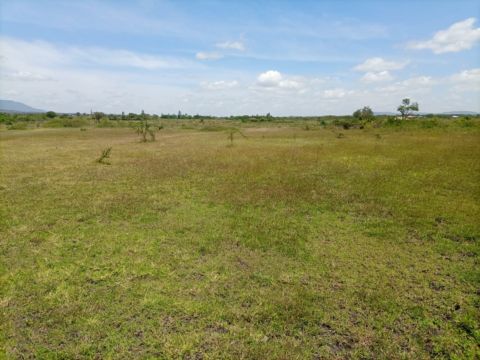 plots for sale in koma kangundo road