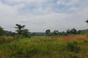 land for sale in makindu