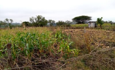 Land for Sale in bunyore