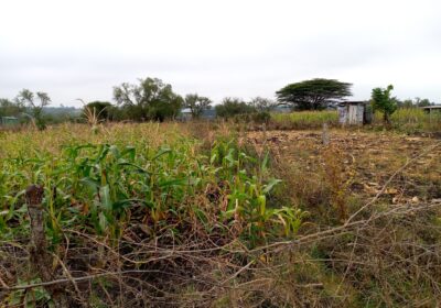 Land for Sale in bunyore