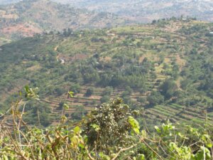 land for sale in kilungu