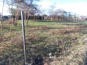 land for sale in Masii