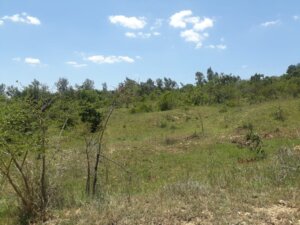 land for sale in mwala