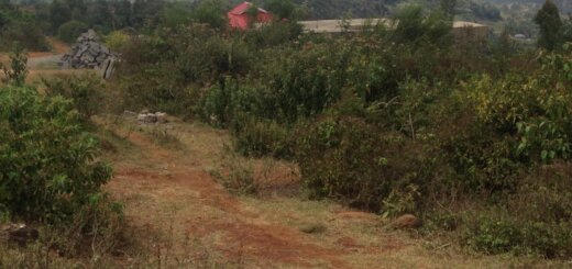 Plots for sale in Kikuyu