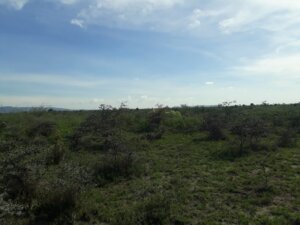 land for sale in mwala