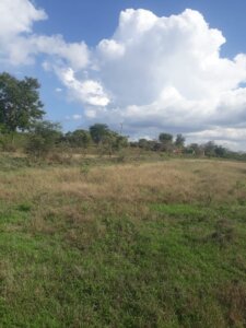 land for sale in mwala