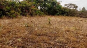 land for sale in Mashuru Kajiado