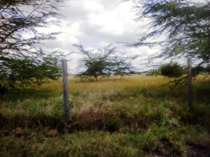 land for sale in Mashuru Kajiado