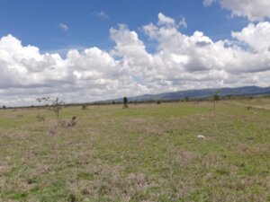 plots for sale in koma kangundo road