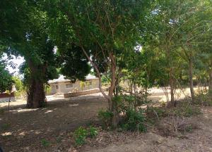 Land for sale in Msabaha Malindi