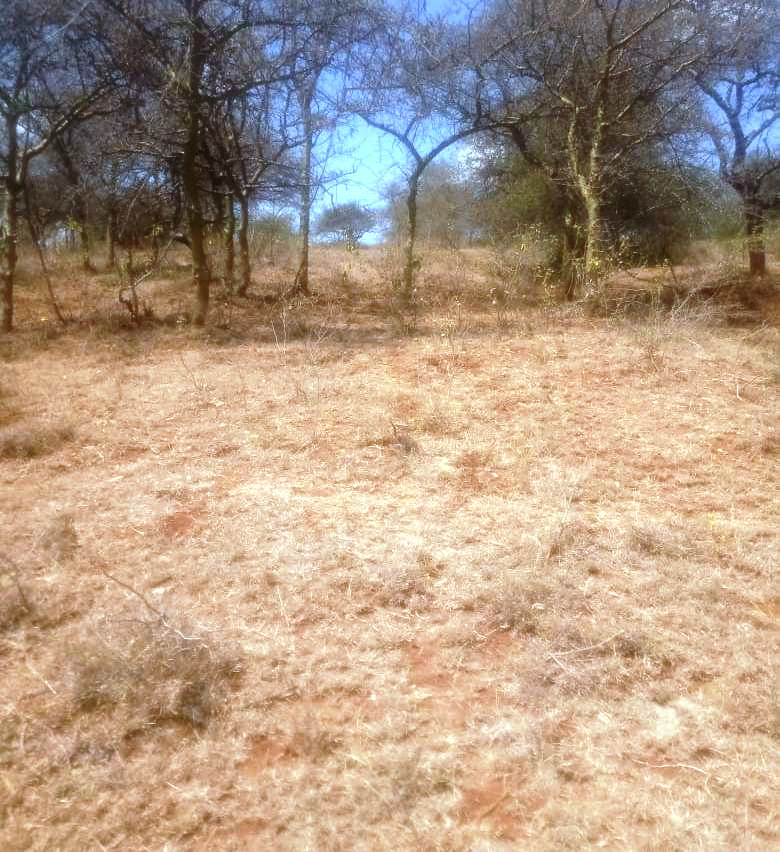 land for sale in Mashuru Kajiado