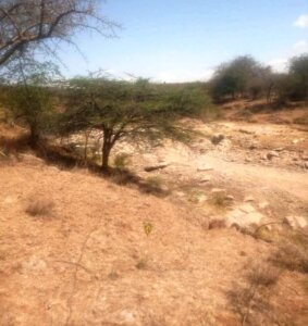 land for sale in Mashuru Kajiado