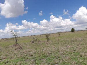 plots for sale in koma kangundo road