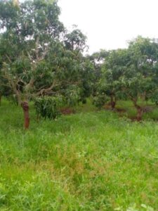 land for sale in kibwezi