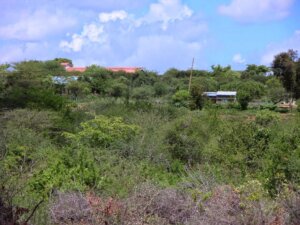 land for sale in kivandini matuu