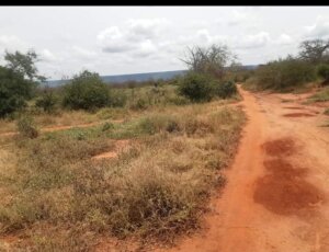 land for sale in mtito andei