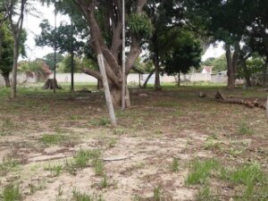 Land for Sale in Mtangani