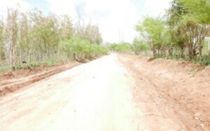 Land for Sale in Mtangani