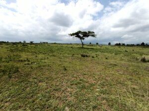 land for sale in Kipipiri