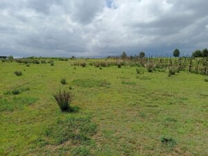 land for sale in Kipipiri