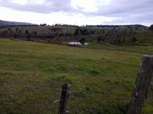 Land for Sale in Mirangine