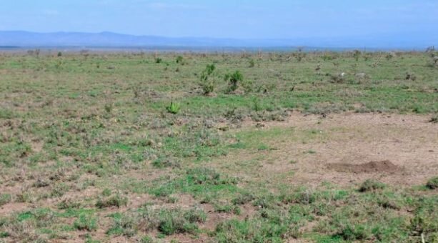 Plots for Sale in Kahawa Sukari