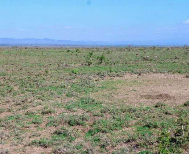 Plots for Sale in Kahawa Sukari