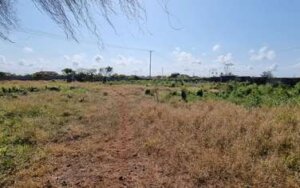 Plots for sale in Shanzu