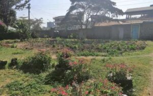 investing in land in Kimuka Ngong