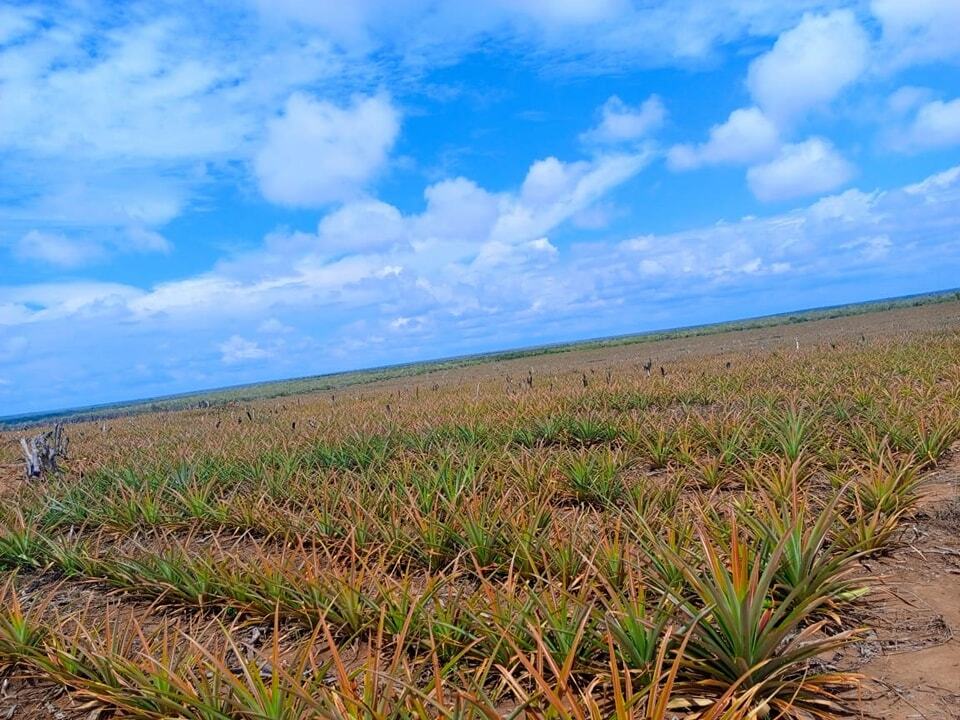 agricultural land for sale in Kakuyuni, Malindi