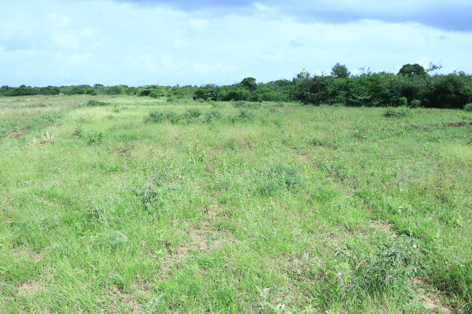 land for sale in marereni, malindi