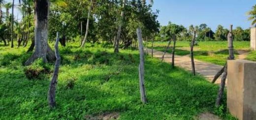 land for sale in Vipingo