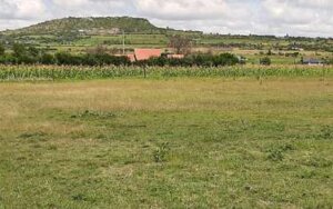 Plots for sale in Ngelani