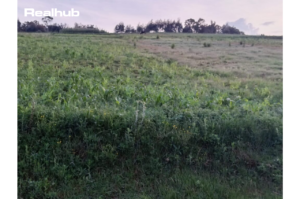 Land for sale in Oljororok