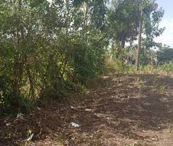 Land for sale in Ololua Ngong